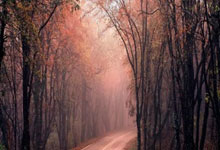 斯基拉：阿森纳计划在夏季转会窗口签下新中场和新前锋.