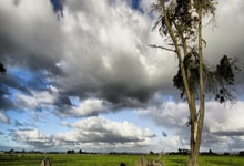 KAIYUN:没啥问题!爱德华兹下半场首发继续打&上半场撞到KD返回更衣室.