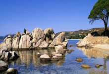 国字号三遇沙特！国少U17亚洲杯首战对阵沙特，此前国足&国青均负.